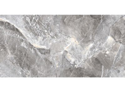 INFINIA CARLOSE GREY