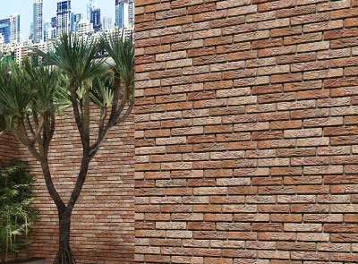 ANAMUDI-002 - Image 2