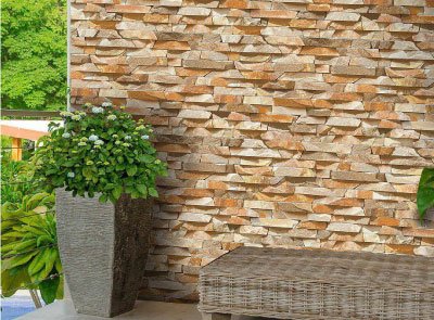 HECTOR-003 - Image 2