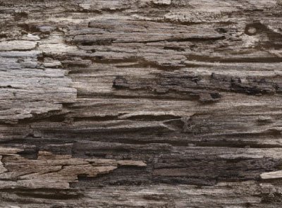 SANDAL WOOD 007
